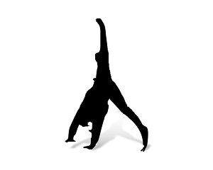 Freunde des akrobatischen Showtanzes