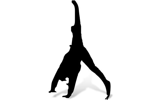 Freunde des akrobatischen Showtanzes